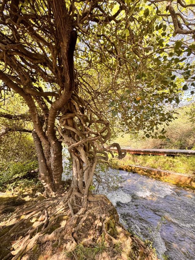 Photo 8 by P. B. about renting a Peugeot 2008 in Croatia (5/9/25)