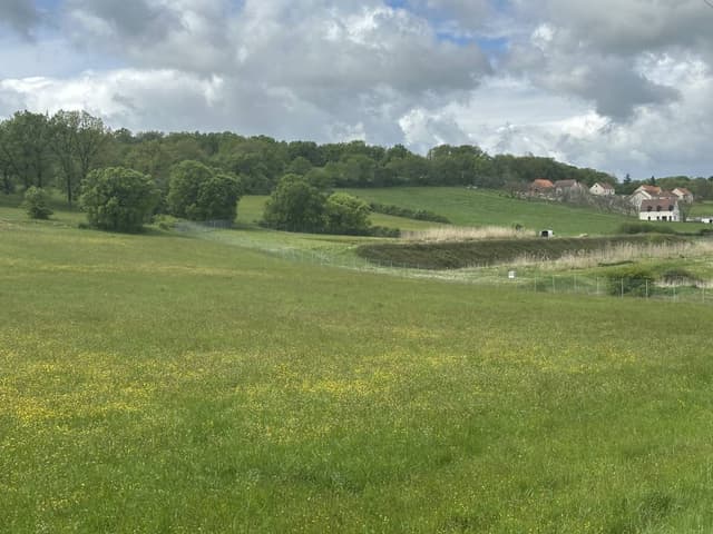 Photo 5 by Dharmasankara C. (4/27/25)