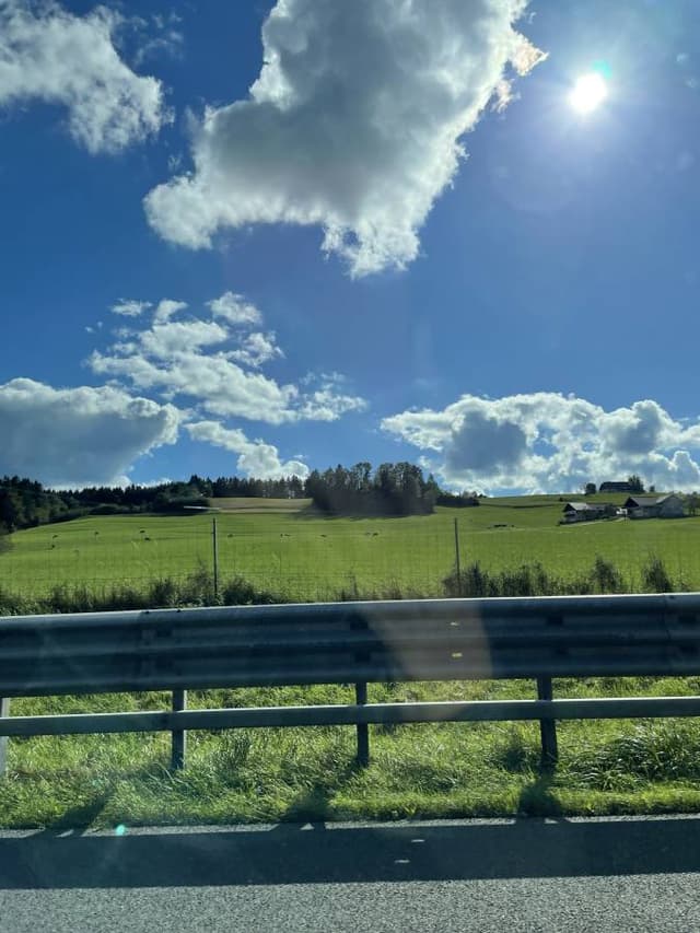 Photo 4 by Alicia Y. (10/1/24)