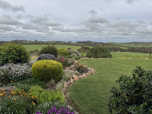 Photo 2 by Craig C. (10/7/25)