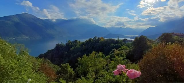 Photo 2 by Christopher R. about hiring a Kia Picanto at Milan Airport Malpensa (09/10/24)