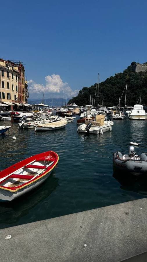Фото 1 от YULIYA M. об аренде Fiat 500 в Милане (12.08.24)