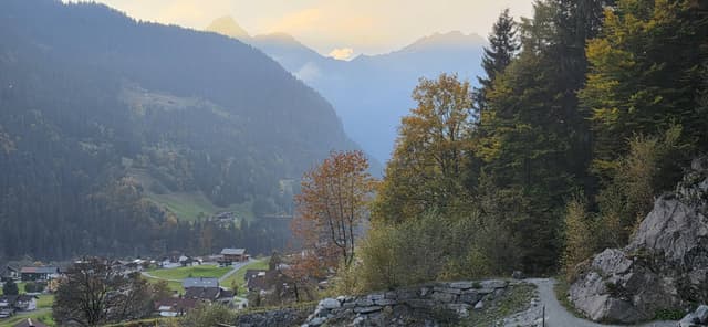 Photo 4 by Alexey G. (10/24/25)