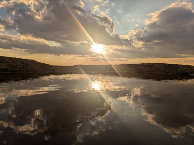 Photo by Celia M. (4/7/26)