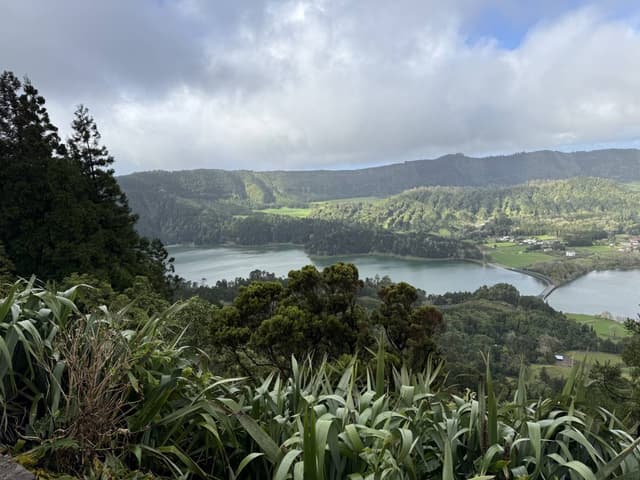 Photo 3 by Michael B. (2/27/25)