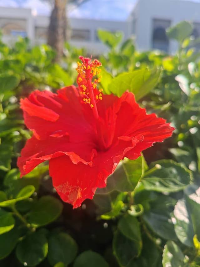 Photo 5 by Mohommed M. about hiring a MG 3 at Tangier Airport (31/10/25)