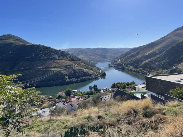 Photo 3 by Warren K. (11/3/25)