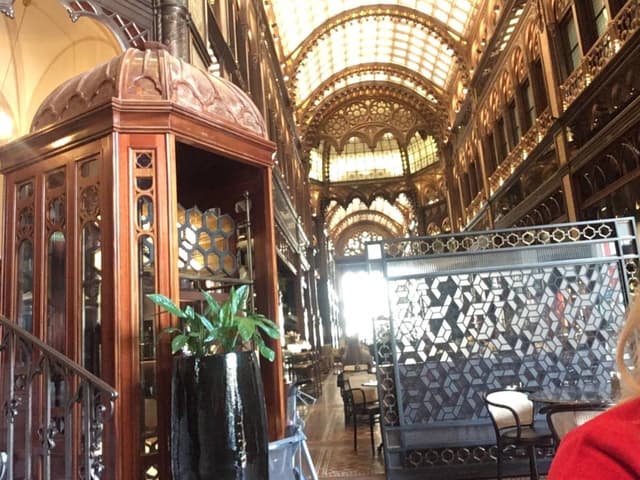 Photo 6 by PATRICIA I. (11/17/23)