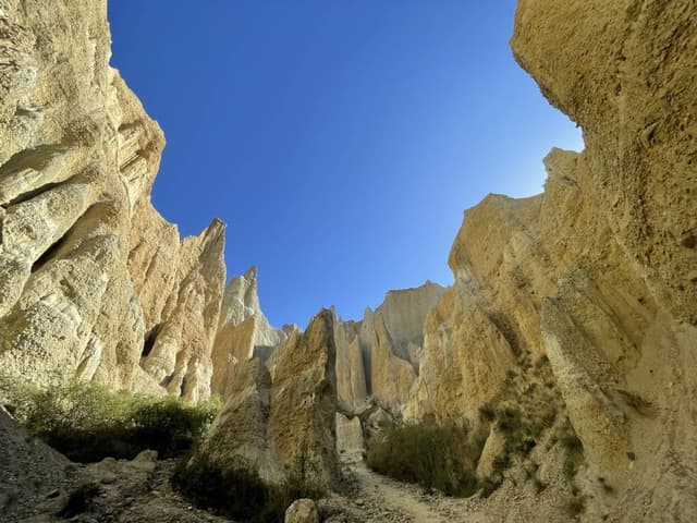 (25/3/13)のレンタルについて、AKIRA M. による写真 2