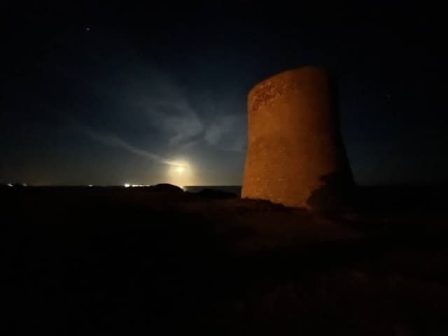 Photo 6 by Andrea M. (4/28/24)