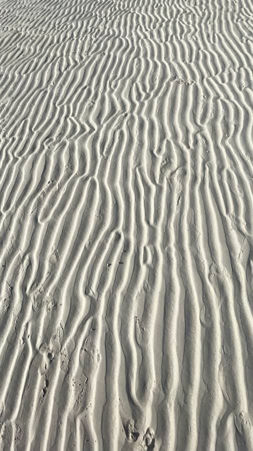 Photo 4 by Alberto B. (1/9/24)