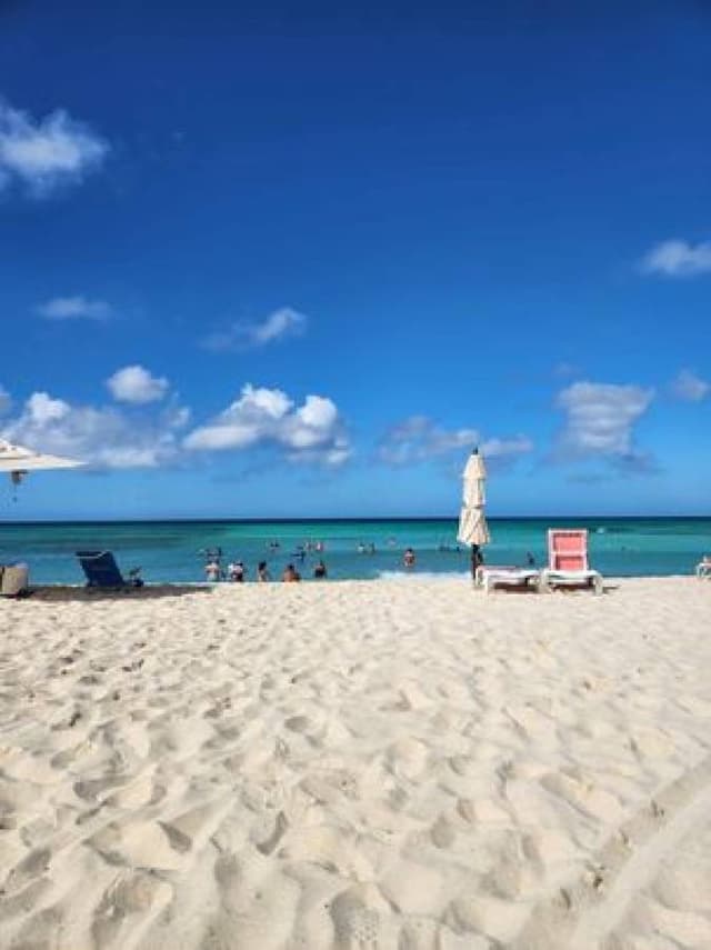 Photo 2 by Stephanie D. (1/30/24)