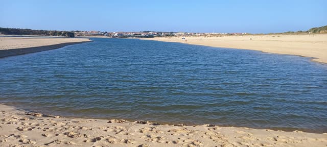 Foto 4 de Joao V. (07/11/24)