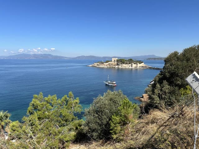 Photo 3 by Akos V. (9/22/24)