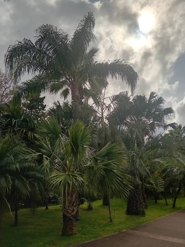 Photo 8 by christophe S. (4/13/25)