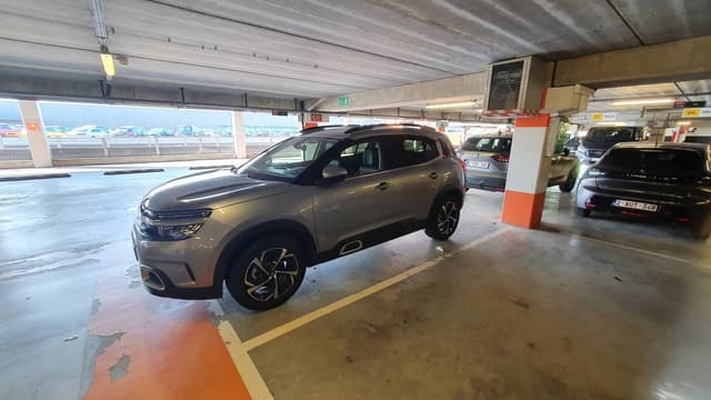 Photo by Niv S. (8/8/22)