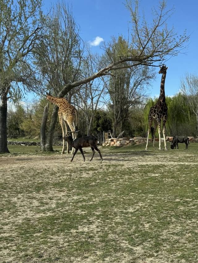 Photo 5 by TADAS N. (4/10/26)