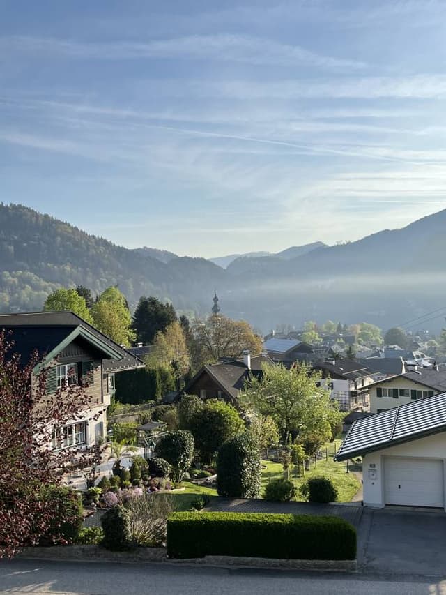 Photo 6 by Orly E. (4/15/24)