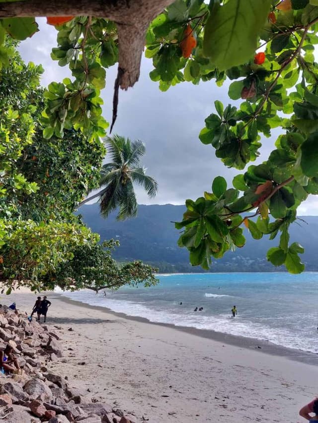 Photo 2 by Robert B. about renting a Kia Rio in the Seychelles (2/25/24)
