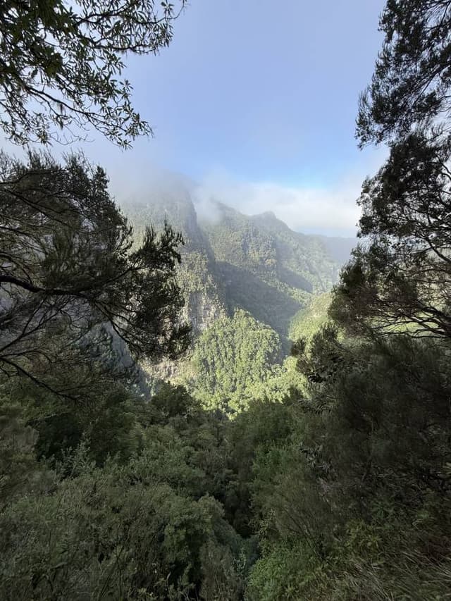 Photo 3 by Gabriel Codrin C. about hiring a Seat Arona in Madeira (26/02/26)