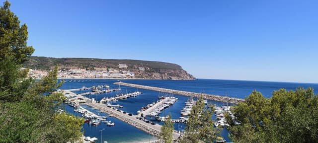 Foto 2 van Hans D. (5-9-23)