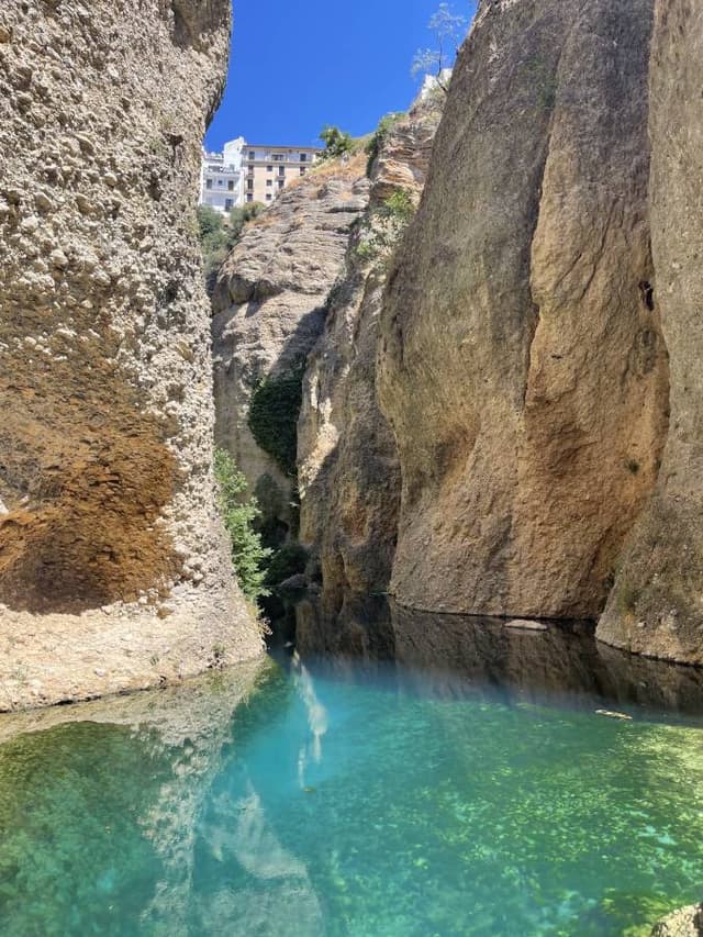 Photo 3 by DAVID S. (7/20/24)