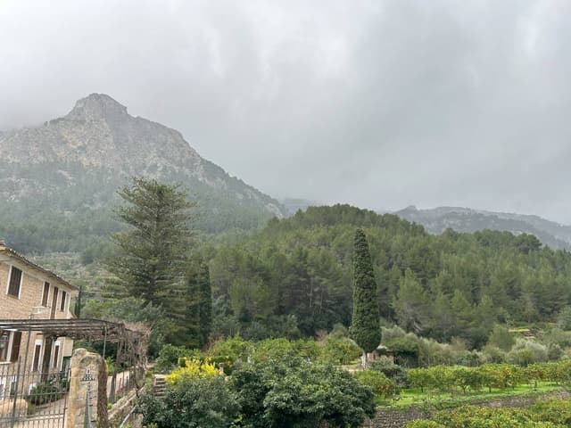 Photo 4 by Adrian K. (2/15/25)