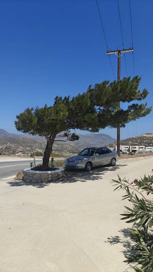 Foto door Franky C. (5-9-25)