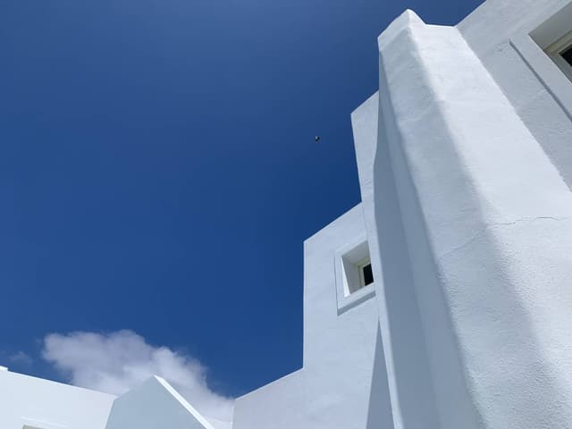 Photo 6 by Dan O. (5/17/24)