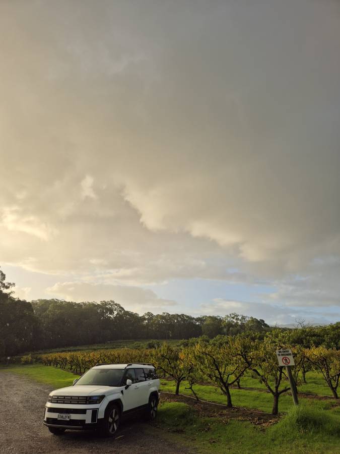 Photo 3 by Davian C. (4/25/26)