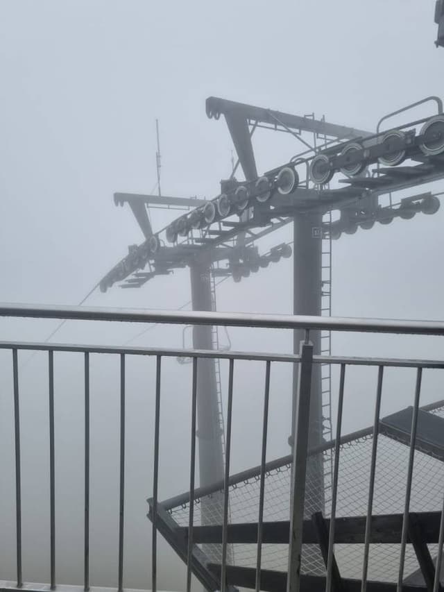 Photo by lavi S. (9/20/24)