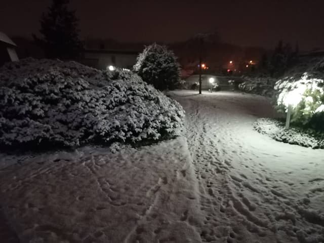 Photo 5 by Pawel W. (12/30/23)