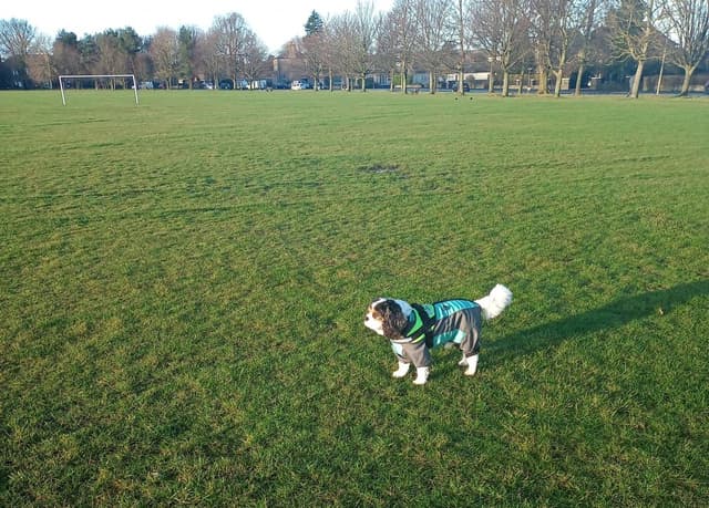 Photo 2 by June B. about hiring a Fiat 500 in Glasgow (03/01/24)