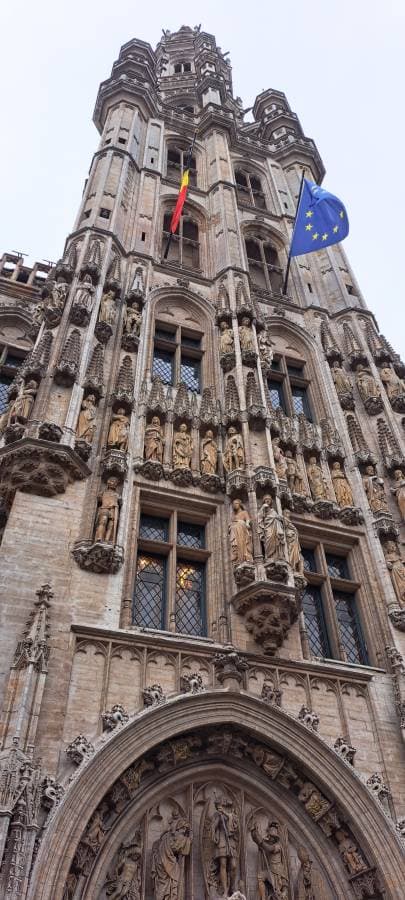 Photo 1 by Tamas Csaba V. (11/11/24)