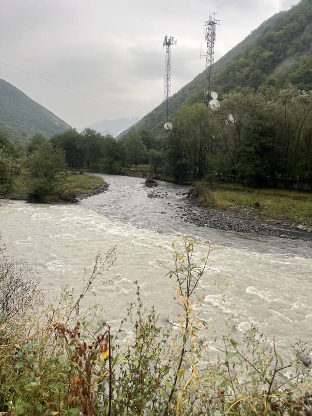 Photo by BOAZ F. (8/25/24)