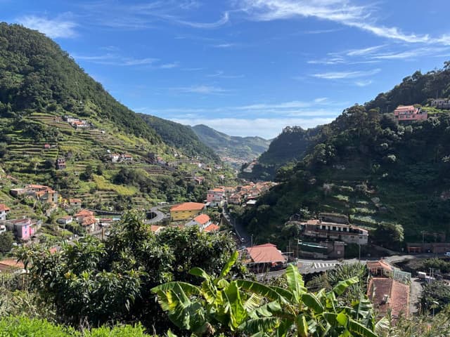 Photo 8 by Monica N. (2/24/25)