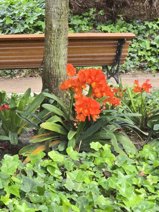 Photo 7 by Catherine S. (3/29/26)