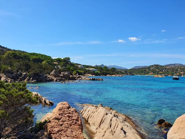 Photo 8 by Quelly S. (9/20/23)