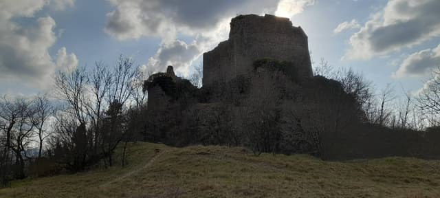 Photo 19 by Kevin B. (3/13/26)