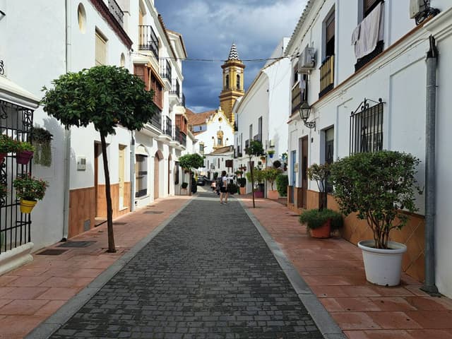 Photo 6 by Karlijn J. (10/16/24)