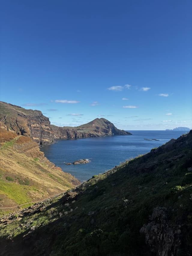 Photo 5 by Adam C. (2/17/25)