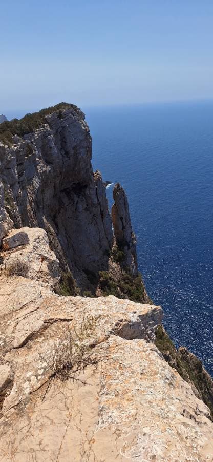 Photo 4 by Salvatore C. (4/21/25)