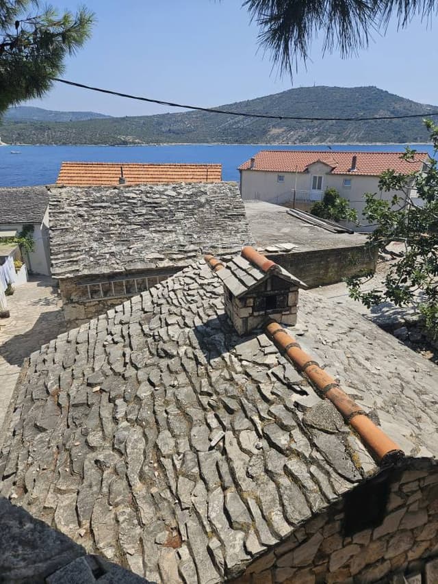 Photo 3 by Leonid O. (7/31/24)