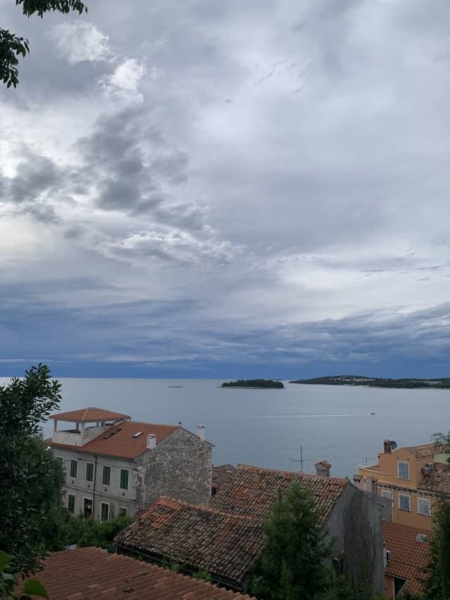 Foto 3 di Cinzia S. (13/07/25)