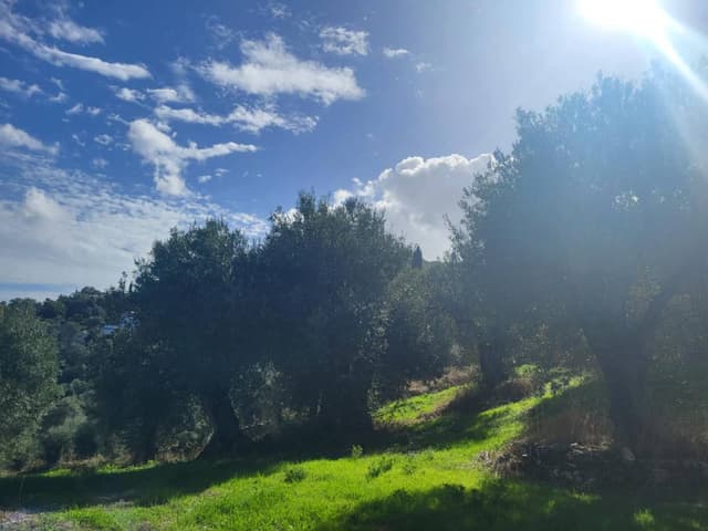 Zdjęcie 1 wykonane przez Gerard Z. (31.10.25)