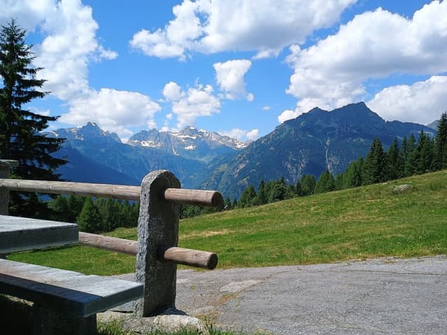 Zdjęcie 2 wykonane przez Karol F. (25.07.24)