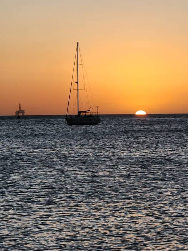 Photo by Philip G. (1/23/26)