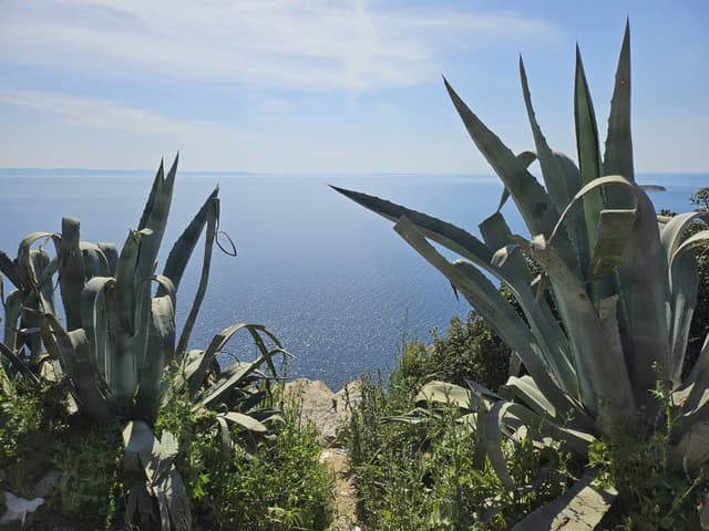 Photo 6 by Alexandra B. about renting a Fiat Panda in Thessaloniki (8/26/25)