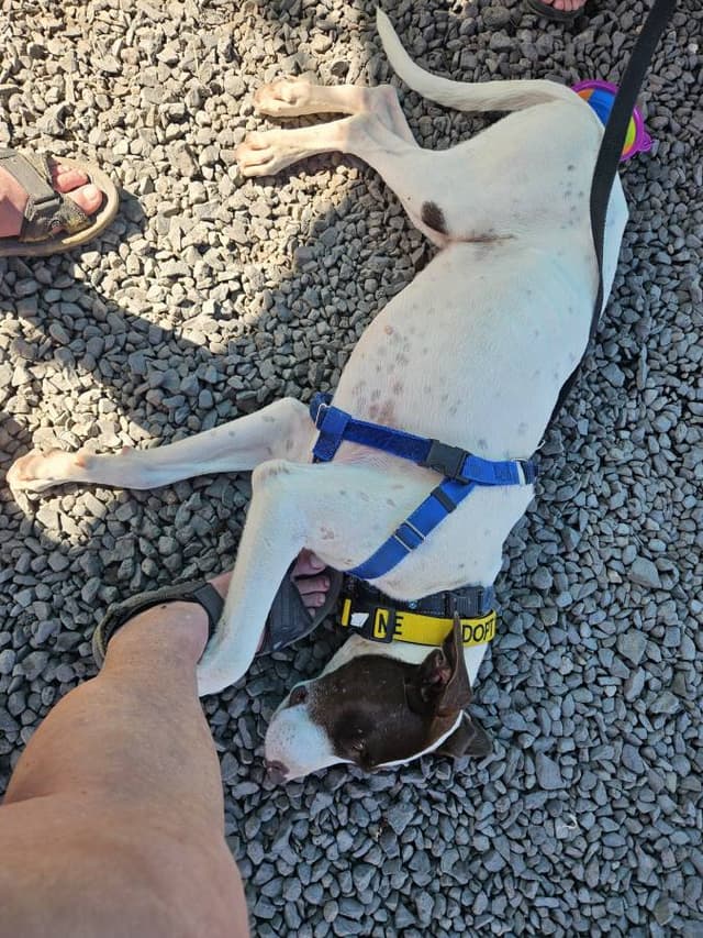 Photo 2 by Kenneth A. (3/10/25)