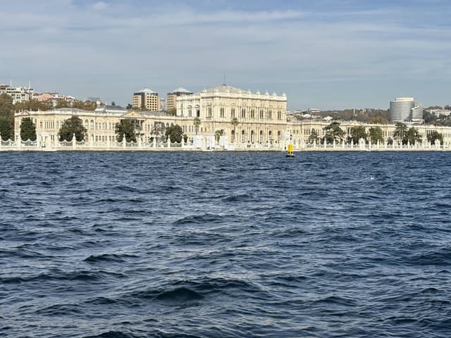 Photo 8 by John Winston T. (11/11/25)